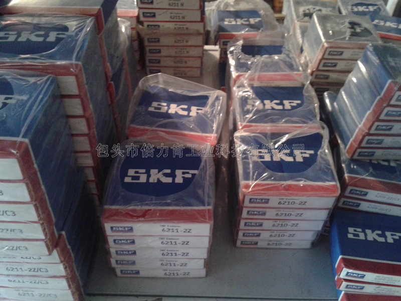 SKF軸承6313tj直供