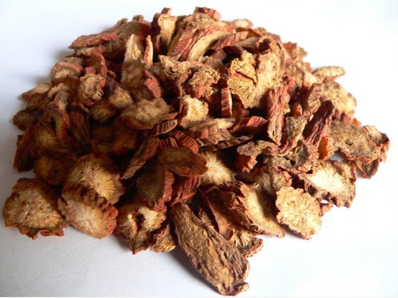 旱半夏種植優(yōu)質(zhì)丹參-丹參種植基地-保定丹參價格