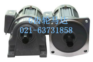 GF40-2.2-40-C1齒輪馬達 小齒輪減速機