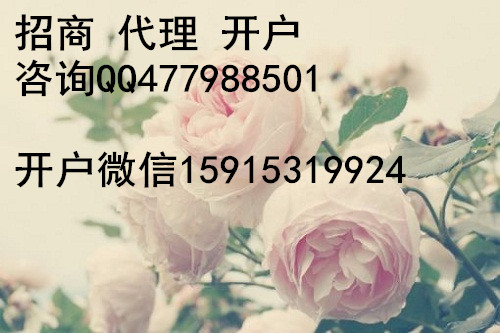 瑞魯大宗芳烴代理Q477988501