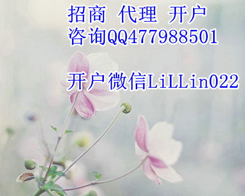 天津華爾金代理中心
