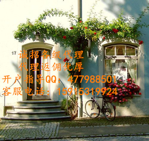 西南云鼎大宗公司代理平臺原始圖片2