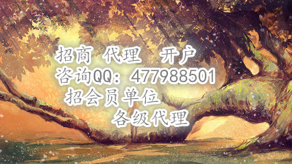 西南云鼎大宗公司代理平臺原始圖片3