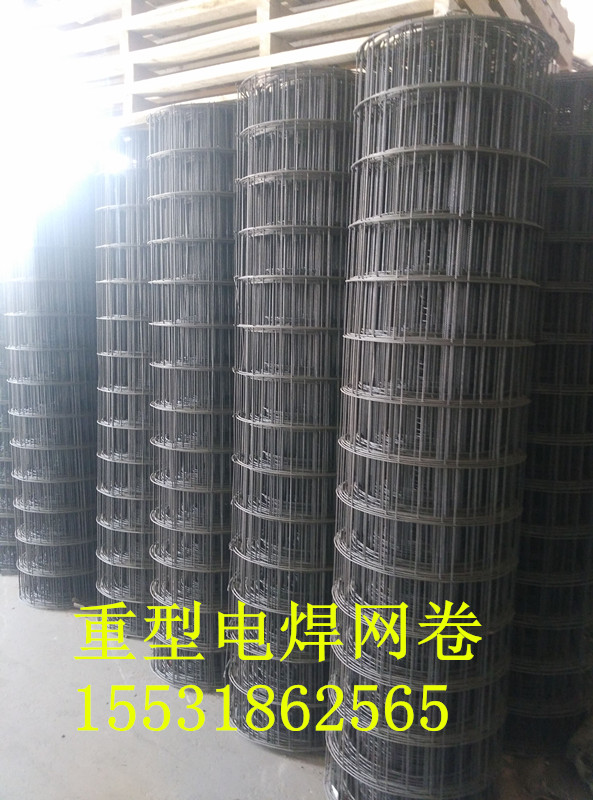 河北大丝电焊网巻 重型粗丝电焊卷网厂家