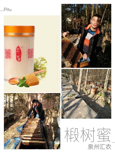 福建漳州雪花蜜|福建漳州直銷蜂蜜|福建漳州tr雪花蜜匯農供