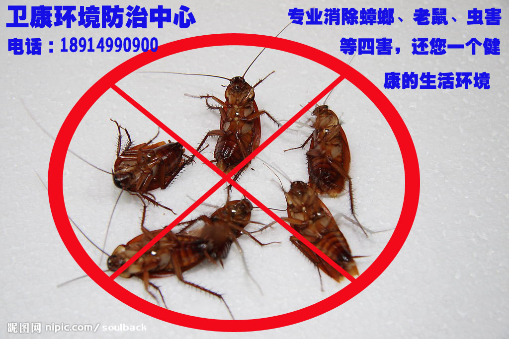 以夢為馬 不負韶華 昆山滅鼠 18914990900