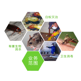 以夢為馬 不負韶華 昆山滅鼠 18914990900原始圖片2