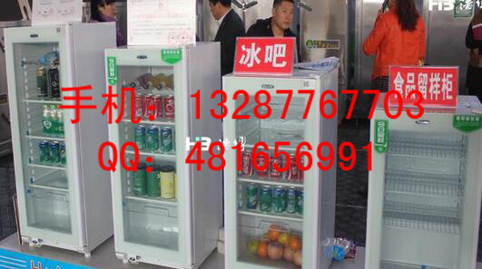 濰坊食品留樣柜原始圖片2