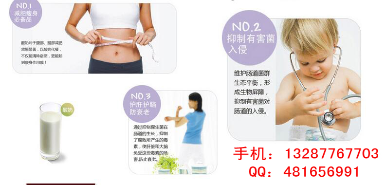 陽信縣老酸奶機|商用老酸奶機|全自動老酸奶機