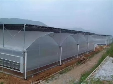 【點擊！】蔬菜日光溫室建設@江蘇蔬菜日光溫室建設@南昌蔬菜日光溫室建設【農騰】