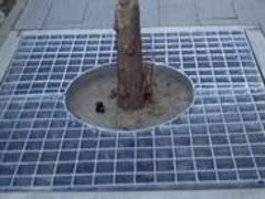 冀安篩廠提供廈門地區(qū)優(yōu)良的鋼格板——鋼格板、腳踏板價位