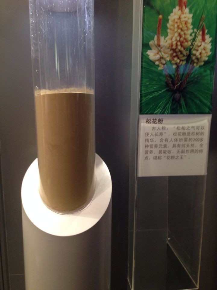 國珍松花粉專賣《國珍無糖松花粉》