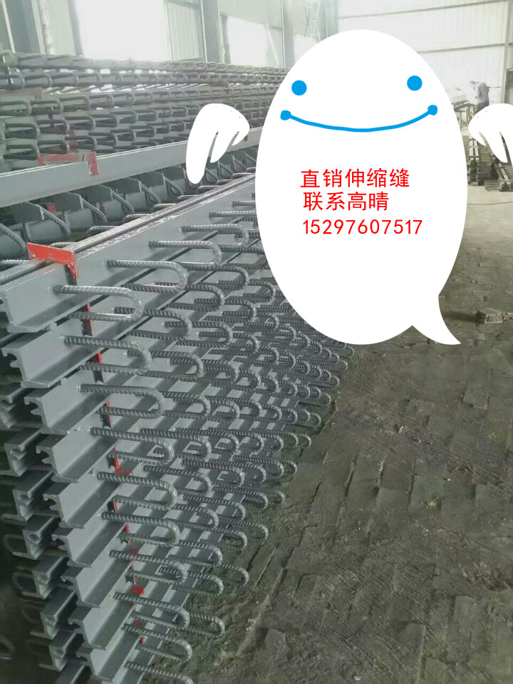 直銷慶陽甘肅FE-80型模數式伸縮裝置 橋梁伸縮縫直銷@@