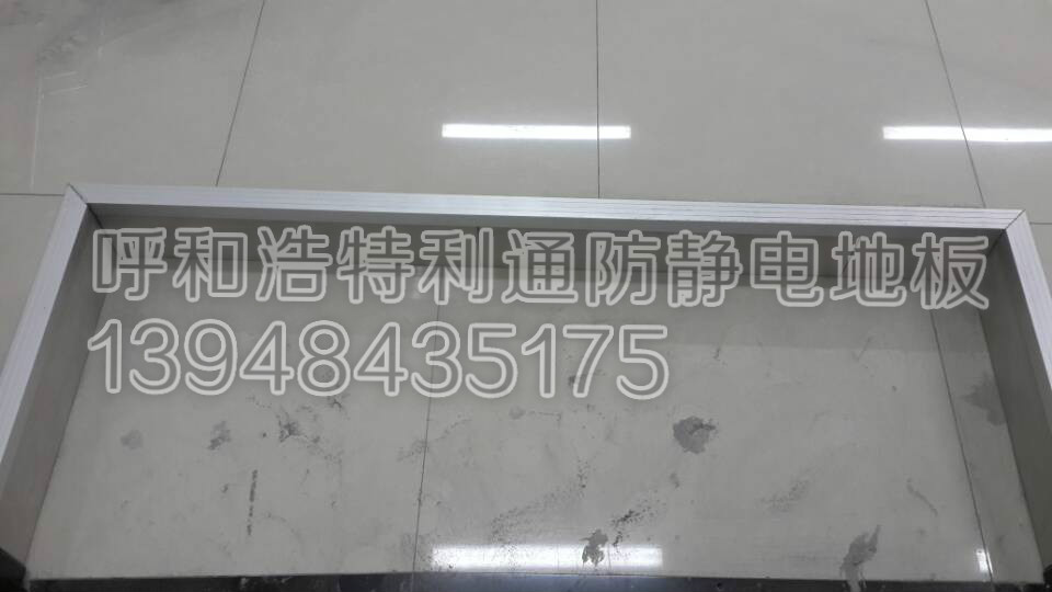 代理陶瓷防靜電地板防靜電地板專業供應廠家