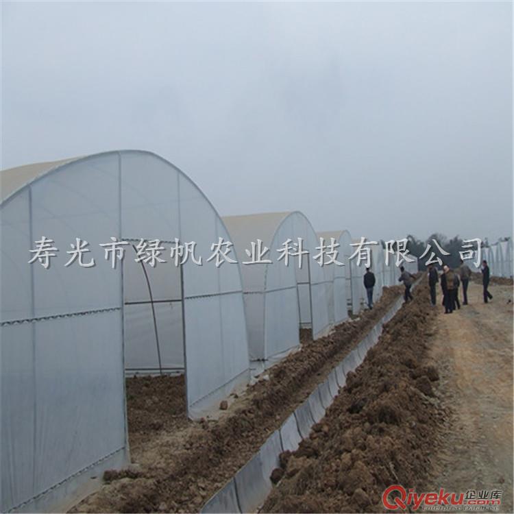 供應國產PO膜 10絲PO膜 大棚材料 塑料薄膜原始圖片3