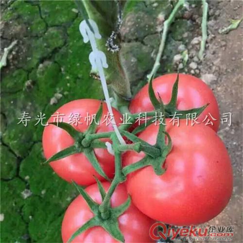 供應(yīng)二膜夾 鍍鋅夾 山形夾 蔬菜大棚專用