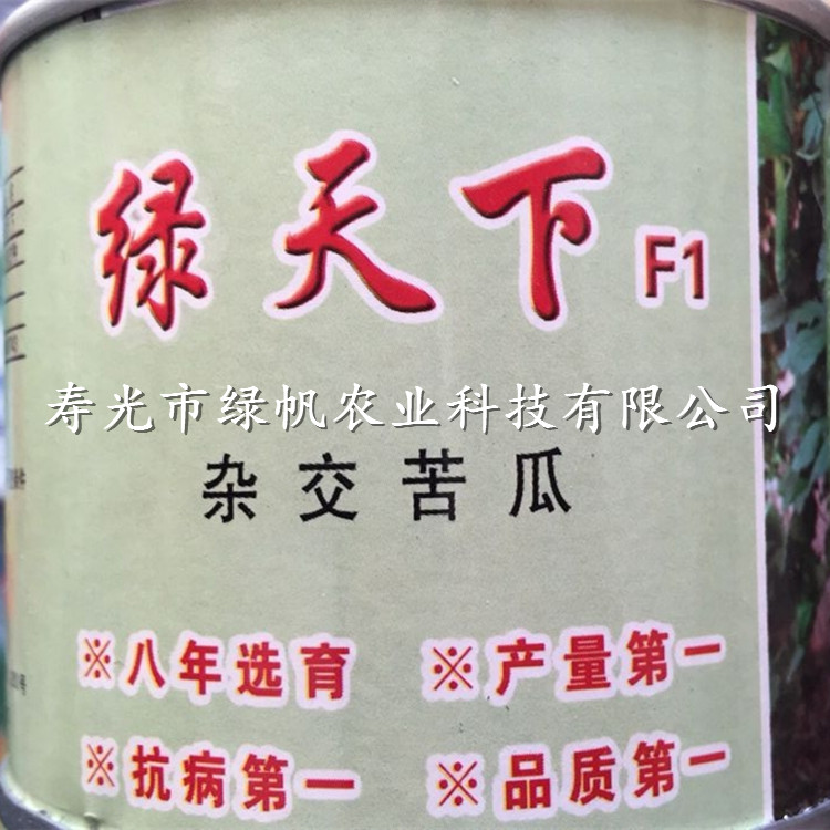 供應緑天下苦瓜種子 壽光種子種苗  F1代雜交種原始圖片3