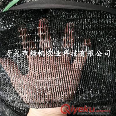 供應緑天下苦瓜種子 壽光種子種苗  F1代雜交種