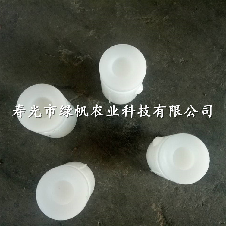 供應(yīng)非洲冰菜種子種苗 南非冰草種子種苗 水晶冰菜