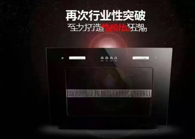 廠家直銷時代2號 抽油煙機 側吸油煙機 廚衛(wèi)電器 OEM品牌煙機灶具原始圖片3