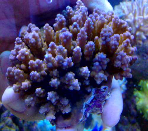 東麗區水族器材生產廠家 觀賞魚水族器材 天津水族器材廠家