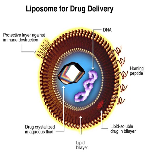 Invitrogen1.5ml脂质体2000供应商-上海1.