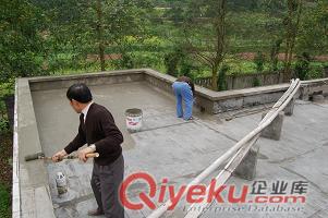 三水云東海防水補漏公司|云東海衛(wèi)生間補漏防水|云東海廠房防水補漏