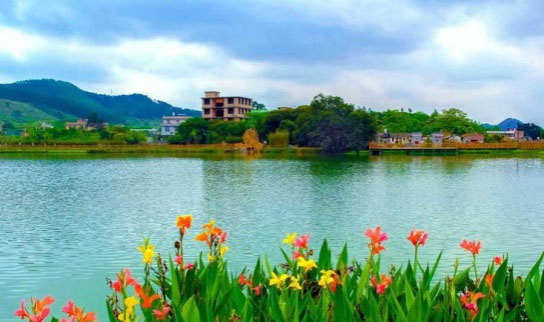 華夏一家【供應】{yl}的參觀養殖基地，廈門養殖基地推薦