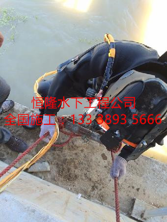 海陽市潛水維修公司原始圖片2