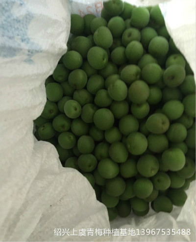 青梅哪里有買(mǎi)，哪里的青梅品質(zhì)好一點(diǎn)