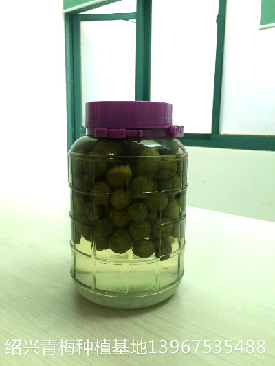 品質zz的手工青梅酒預售
