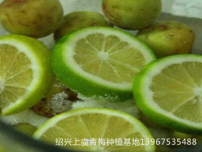 如何把青梅、酸梅制作成青梅果醋 