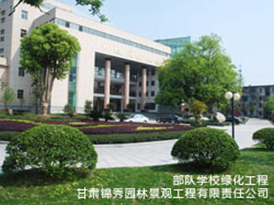 蘭州有哪幾家品牌好的甘肅園林綠化苗木基地_酒泉園林綠化苗木銷售苗圃