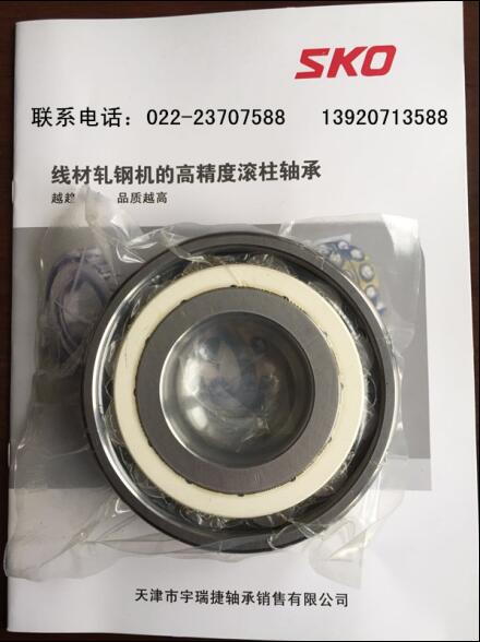 油膜軸承172050BC確保機械效率步步高升原始圖片2