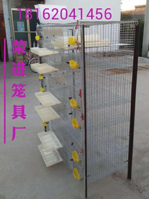 想买好的鹌鹑笼就来荣进笼具厂_鹌鹑养殖笼批发