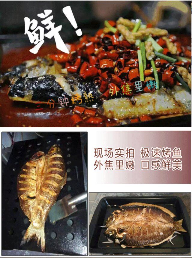 石英管材質(zhì)的烤魚箱  南陽市燒烤烤魚爐