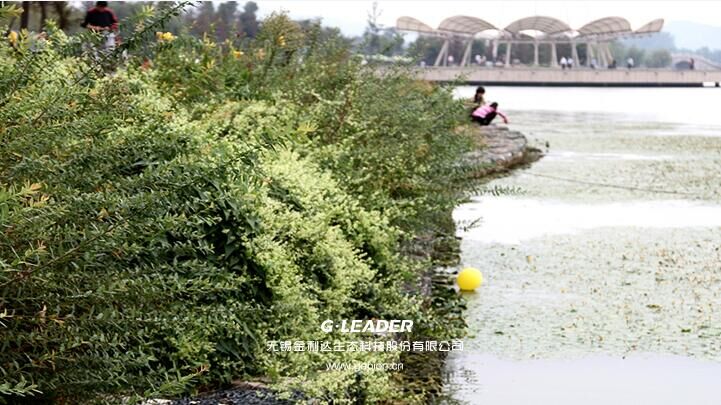 無錫水生態修復結構廠家推薦|安徽水生態修復