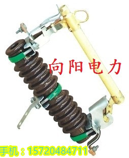 支柱復合絕緣子FZSW-35/6廠家，參數原始圖片2