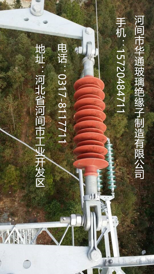 低壓蝶式瓷瓶絕緣子ED-2廠家，參數原始圖片2