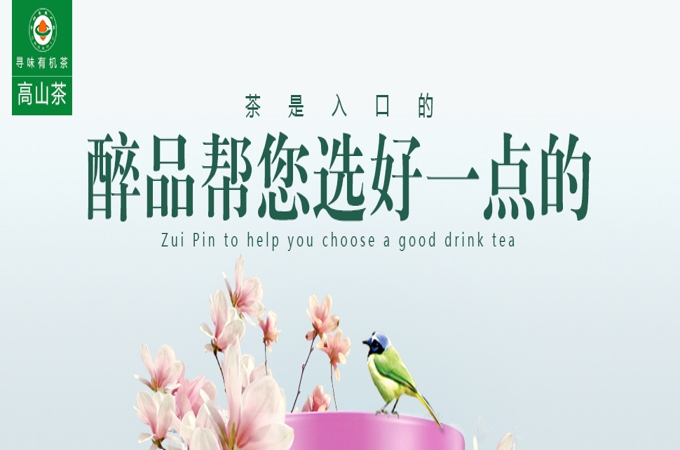 中國臺灣高山茶_優惠的寶澤臺灣高山茶【推薦】