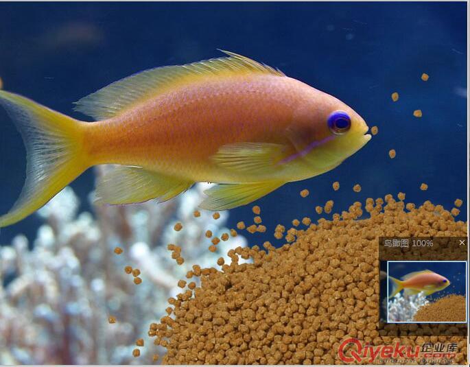 濟南霖奧青島膨化懸浮魚飼料加工設(shè)備原始圖片3