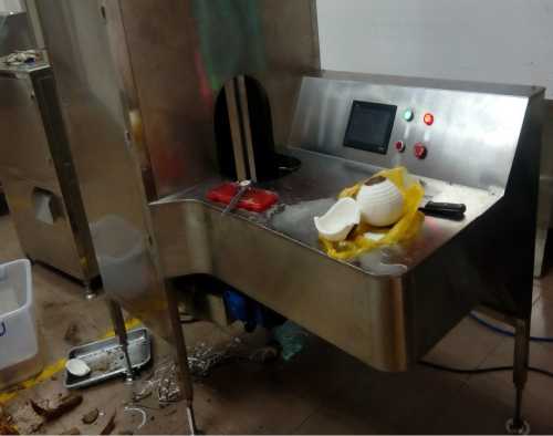 專業(yè)椰子剝殼機銷售廠家