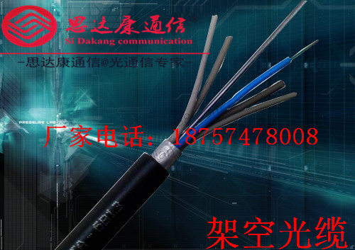 4芯GYXTW架空光纜工程直銷原始圖片2
