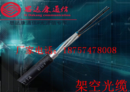 4芯GYXTW架空光纜工程直銷原始圖片3