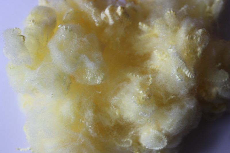 質量好的灰色滌綸短纖供應商當屬美佳特彩纖有限公司：貴州灰色滌綸短纖