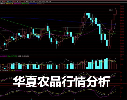 河北农交汇平台 河北受欢迎的河北农交汇华夏农品招代理公司推荐