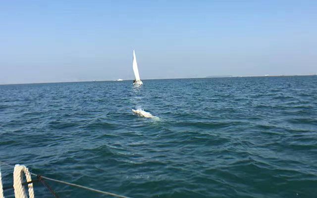 精选帆船出海体验，价格划算的帆船出海体验推荐