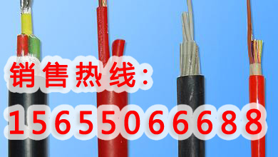 供應(yīng)ZR-DJYPVP電纜，ZRC-DJYP2VP2屏蔽電纜