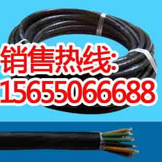 供應(yīng)ZR-DJYPVP電纜，ZRC-DJYP2VP2屏蔽電纜原始圖片2