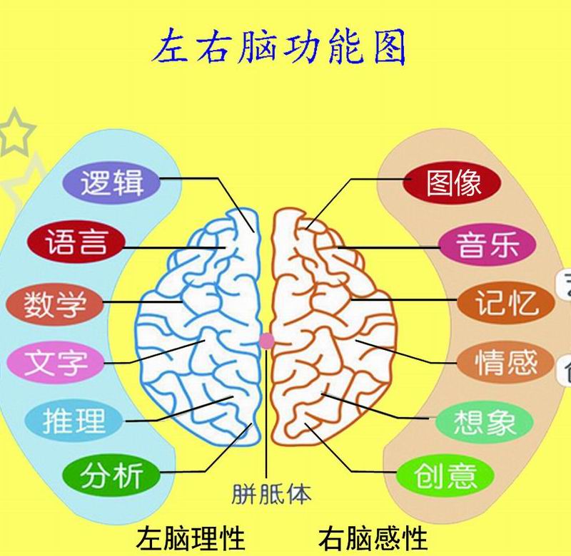 莒南感统，qw的临沂全脑开发早尚好学能研究中心提供